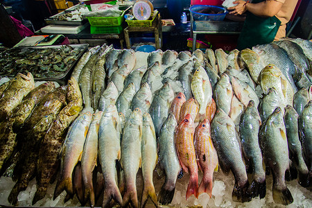 街头市场苏梅岛海鲜市场背景