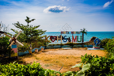 树木标志苏梅岛风景背景