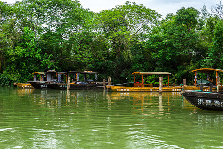 白天杭州西溪湿地洪园游船背景图片