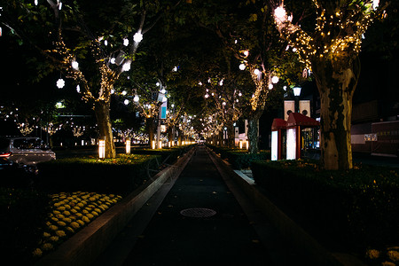 城市夜景霓虹彩灯高清图片