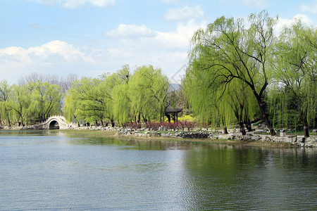 北京圆明园遗址公园背景图片