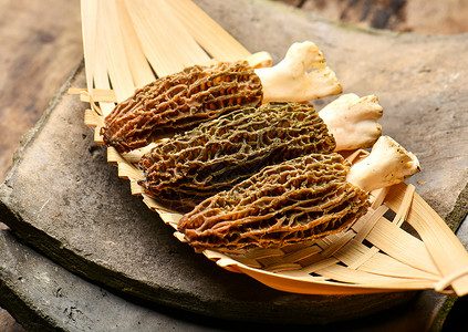 羊肚菌食品蘑菇菜高清图片