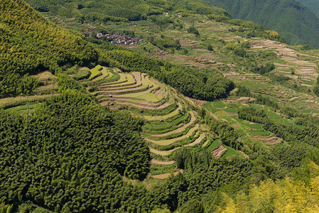 南尖岩浙江夏季的梯田风光背景