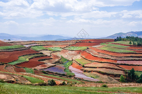 东川红土地背景图片