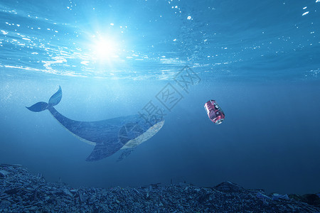 拍摄鲸鱼海洋污染设计图片