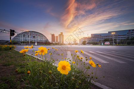 钏路火车站沂水县沂水火车站路口边鲜花背景