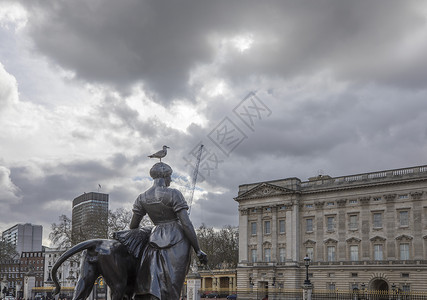 白金汉宫英国王室高清图片