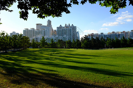 上海世纪公园背景图片