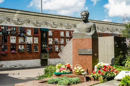 俄罗斯莫斯科新圣女公墓 背景图片