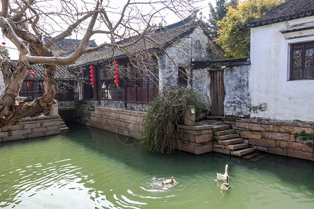 依水傍河水乡周庄背景