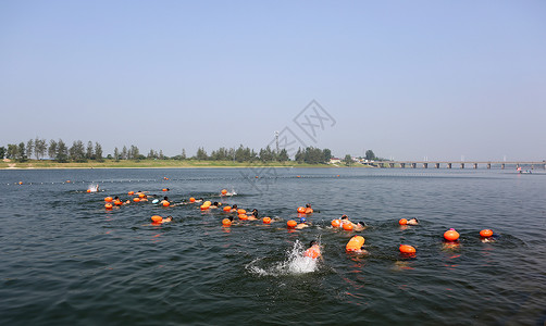全民健身游泳比赛高清图片