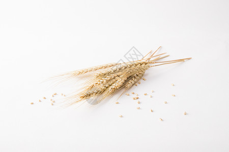 麦穗粮食小麦粒高清图片
