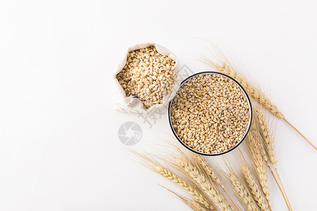 大麦小麦麦穗背景