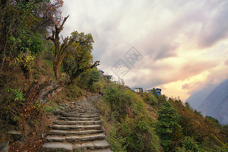 异国风光尼泊尔ABC徒步山路风光风景背景