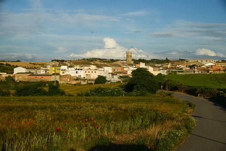 西班牙乡村西班牙加泰罗尼亚地区曼雷萨附近乡村景色背景