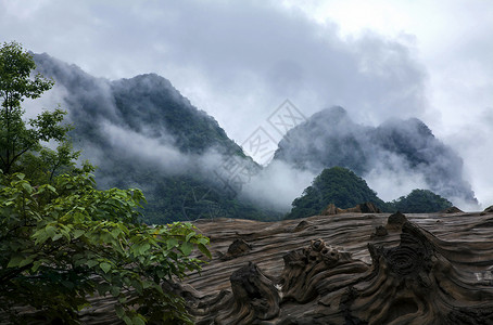 森林山景云山雾绕贵州风景背景