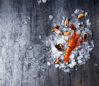 冰上龙虾海鲜日料静物拍摄背景
