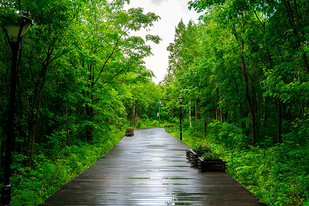 吉林长白山二道白河小镇东北亚植物园背景图片