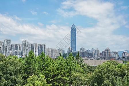 温州南温州地标白鹭洲公园背景