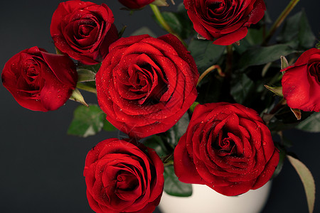花瓶一枝红玫瑰七夕情人节玫瑰花背景