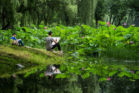 赏荷孩子画荷背景