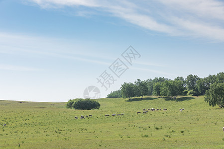 乌兰布统草原背景图片