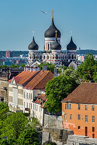 爱沙尼亚首都塔林老城古建筑风光高清图片
