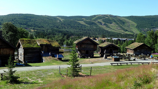 挪威路边木屋和草屋背景图片