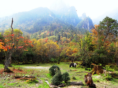 游山玩水素材十里仙境燕子沟背景