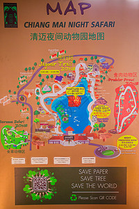 动物园游玩海报清迈夜间动物园地图背景