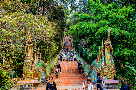 泰国游客清迈双龙寺背景