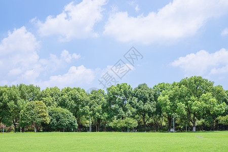 安徽工程大学大学校园草地背景