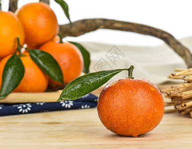 血橙可怕的摩洛高清图片