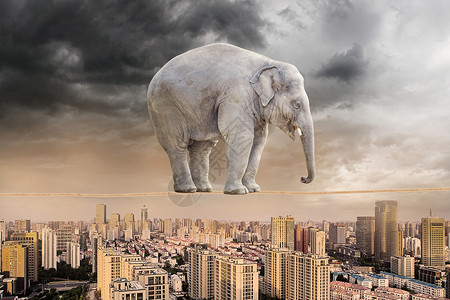 国外艺术家大象在绳子上保持平衡设计图片