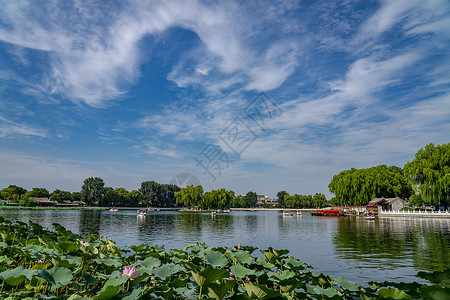 红船素材什刹海前海荷花池塘背景