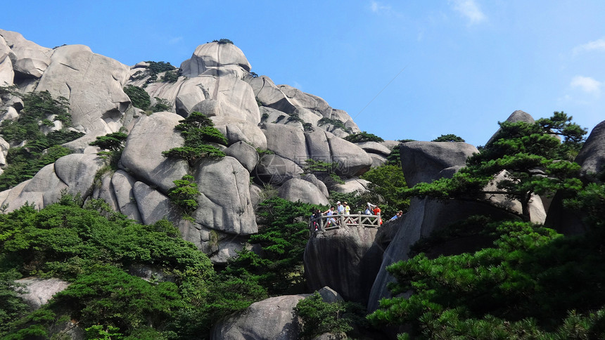 天柱山风光岩缝出青松图片