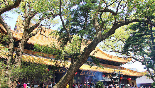 舟山建筑浙江舟山普陀山普济寺背景