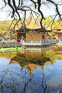 古建园林浙江舟山普陀山普济寺背景