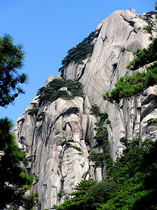 夏日天柱山奇松怪石秀比黄山千米高峰目之所至触手可及美哉背景