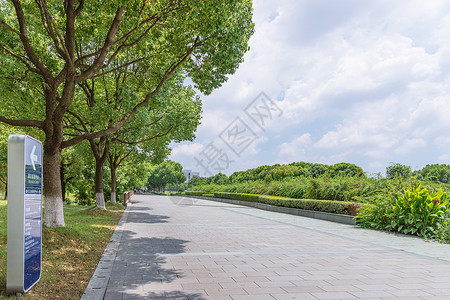 工程绿化大学校园路背景