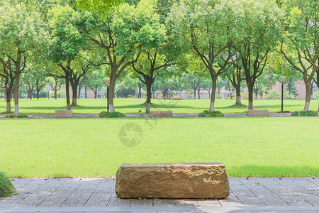 工程绿化大学校园绿化背景