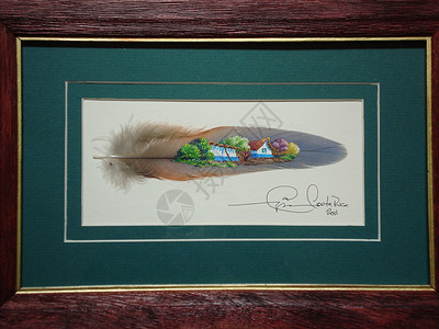 哥斯达黎加的特色羽毛工艺画背景图片