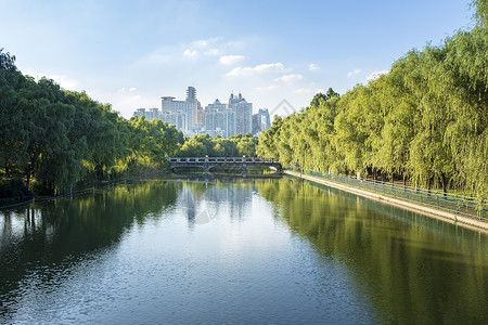 上海世纪公园风光背景图片