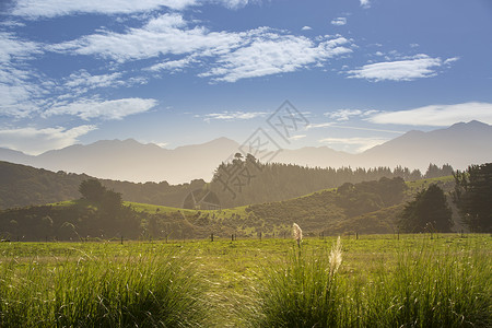 新西兰凯库拉风光图片
