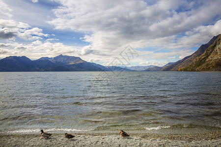 新西兰瓦卡提普湖风光图片