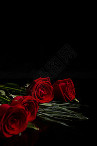 情人节玫瑰花背景背景图片