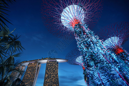 树技素材夜景新加坡天空树景点背景