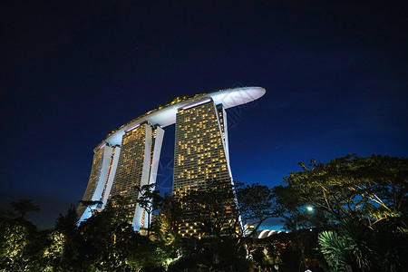 新加坡金沙空中花园夜景高清图片