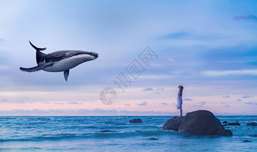 瓜头鲸超现实主义背景设计图片