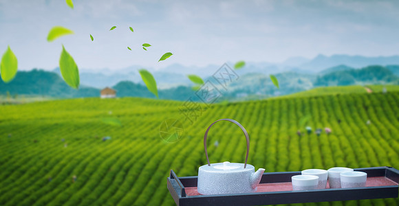 中国茶叶素材茶与健康设计图片